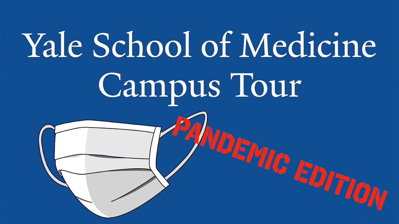 yale medical school tour