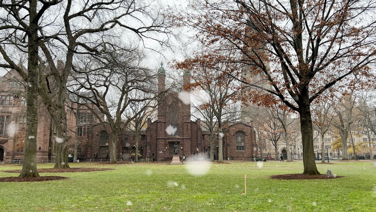 Yale School of Public Health 2021 Holiday Card