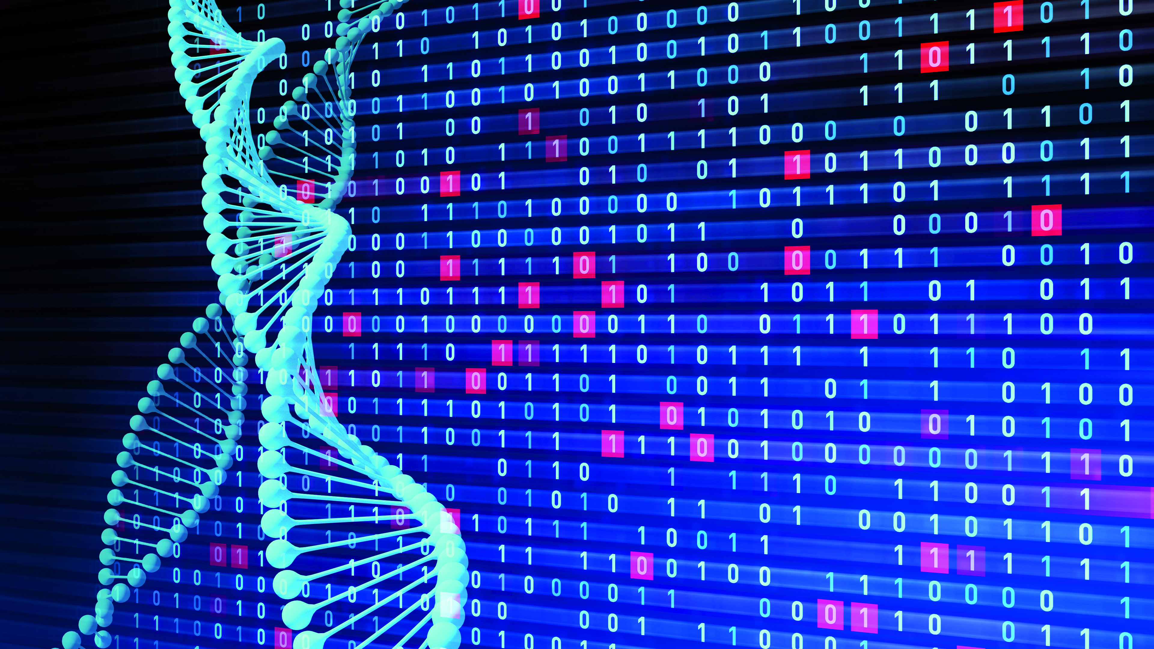 The Genetic Origins Of Sex Differences In Disease 