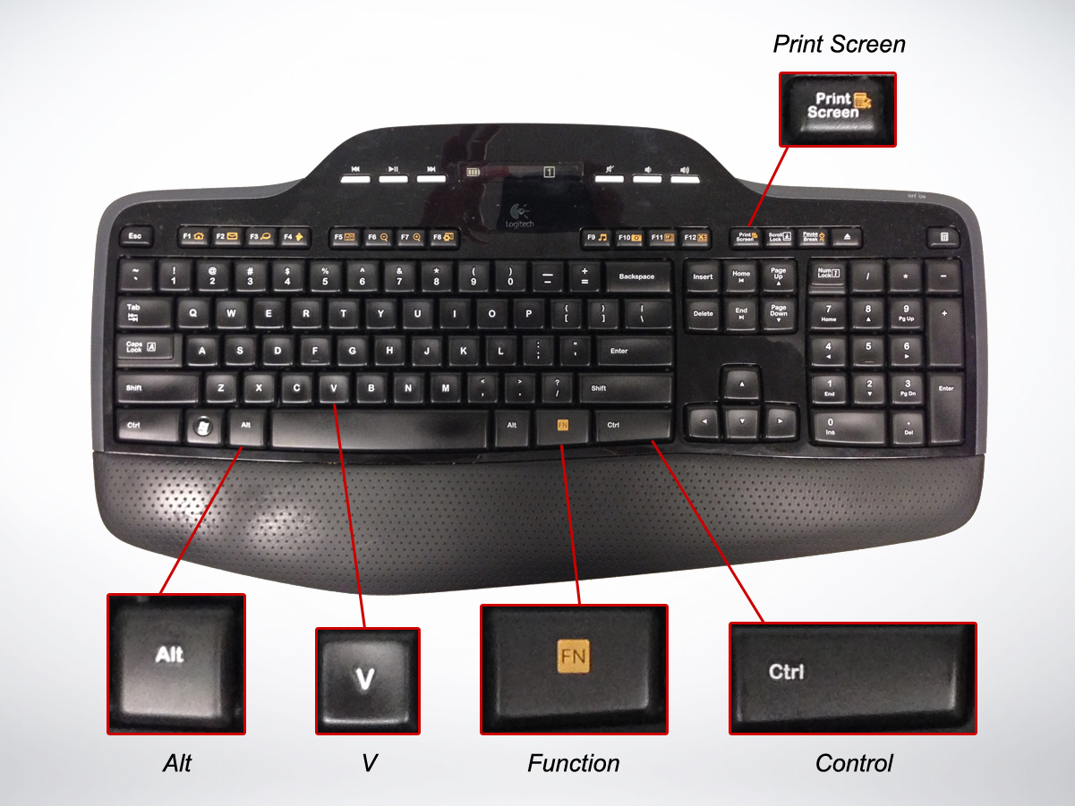 How to take a screenshot in microsoft windows web support services office of 